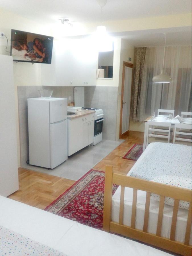 Apartmani Jelica Free Parking Βράνιε Εξωτερικό φωτογραφία